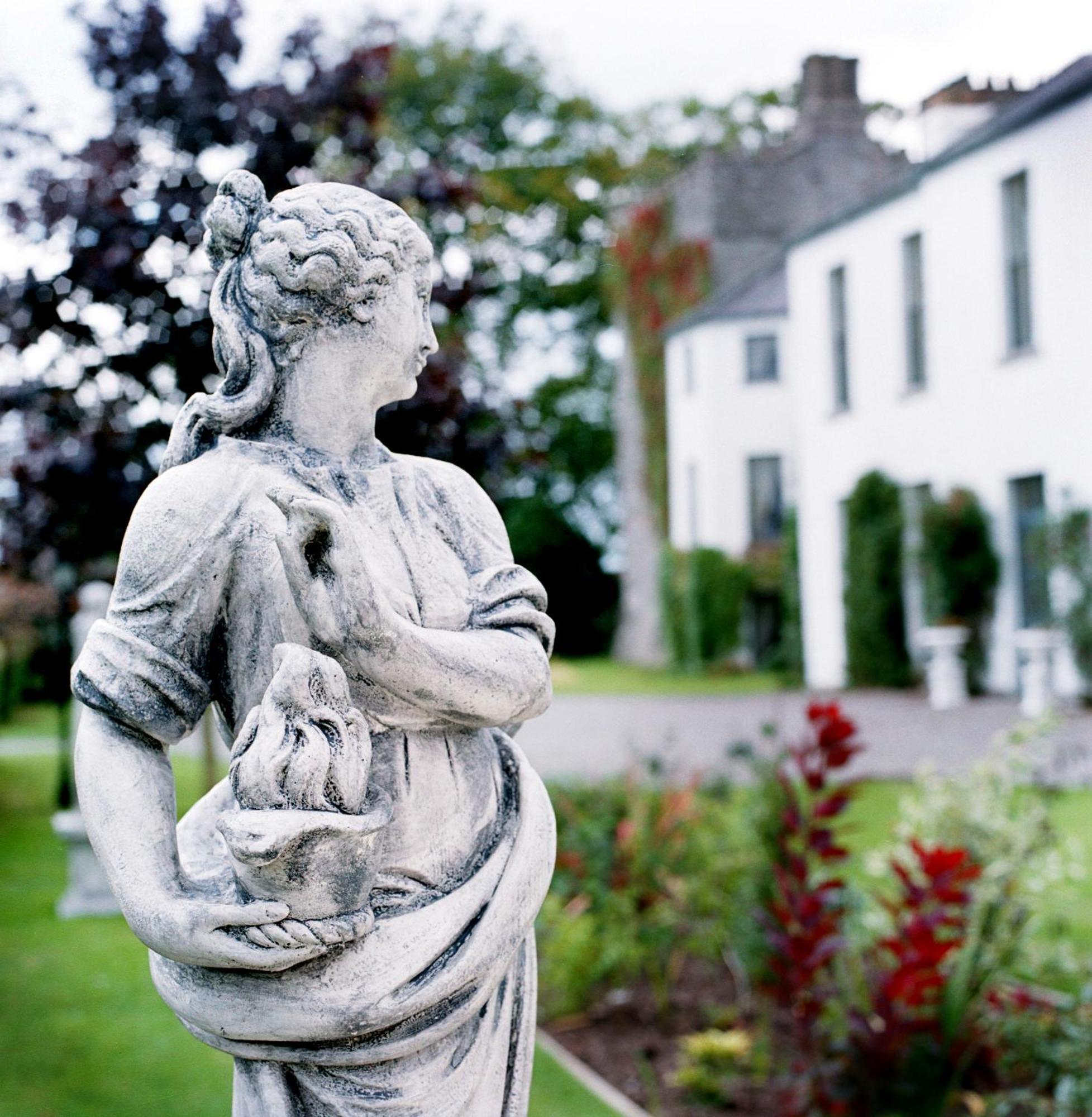 ホテル Barberstown Castle Straffan エクステリア 写真